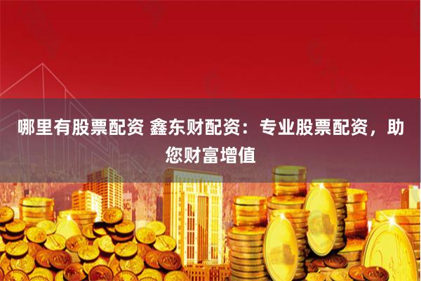 哪里有股票配资 鑫东财配资：专业股票配资，助您财富增值